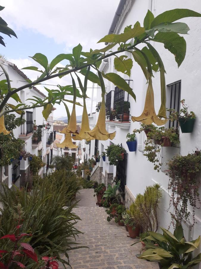 Casa De Las Flores - A Picture Perfect Location! El Gastor Eksteriør bilde